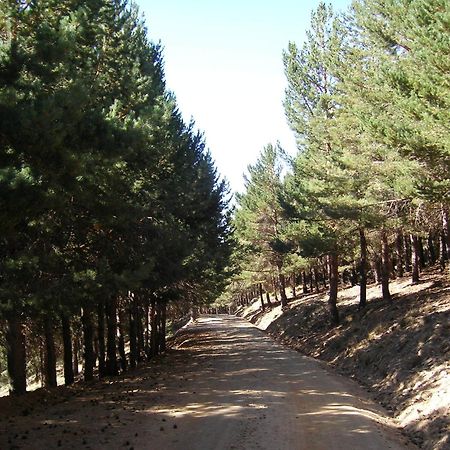Hostal Rural Poqueira Capileira Ngoại thất bức ảnh