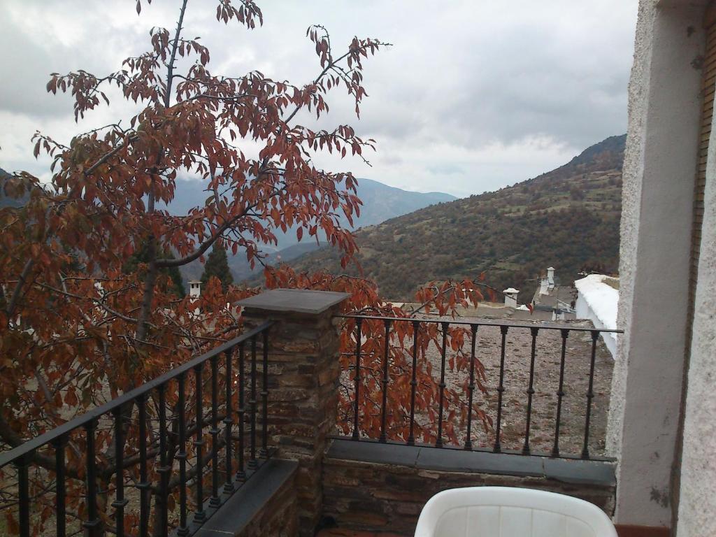 Hostal Rural Poqueira Capileira Ngoại thất bức ảnh